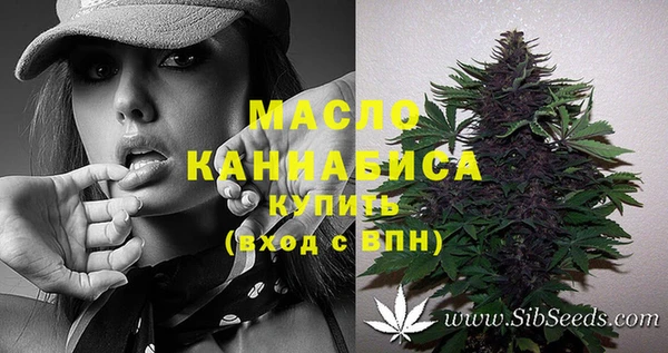 крисы Магас