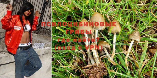 ПСИЛОЦИБИНОВЫЕ ГРИБЫ Майский