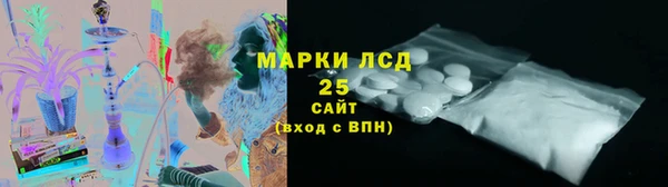 крисы Магас