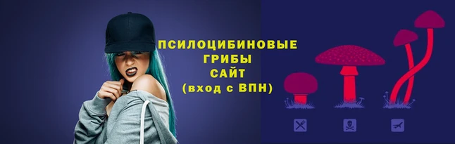 ПСИЛОЦИБИНОВЫЕ ГРИБЫ Майский