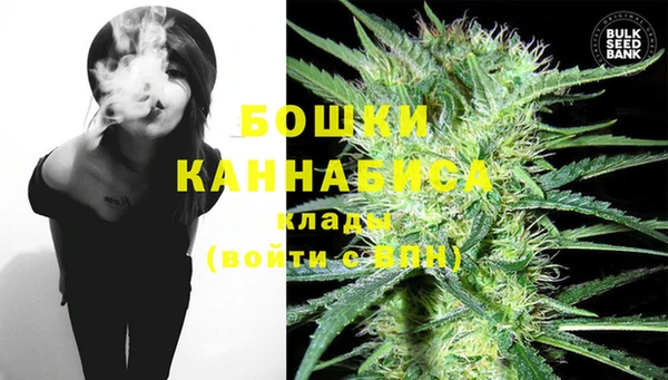 крисы Магас
