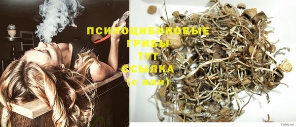 ПСИЛОЦИБИНОВЫЕ ГРИБЫ Майский