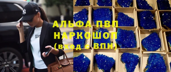 крисы Магас