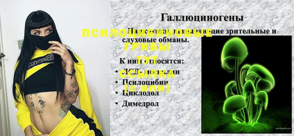 спайс Магадан