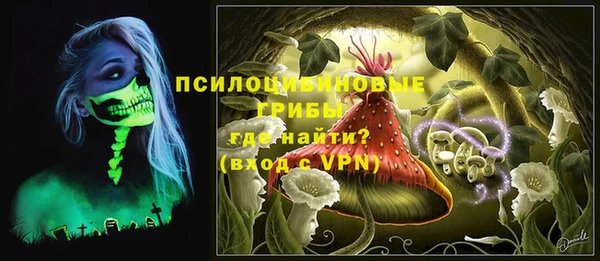 ПСИЛОЦИБИНОВЫЕ ГРИБЫ Майский