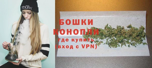 ПСИЛОЦИБИНОВЫЕ ГРИБЫ Майский