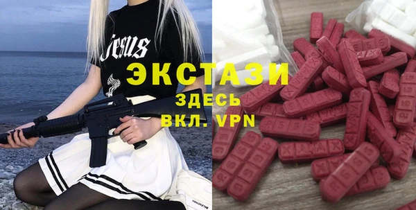 крисы Магас