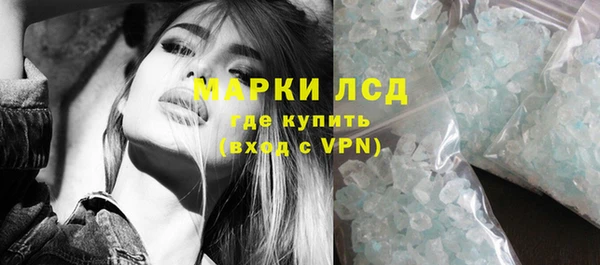 крисы Магас