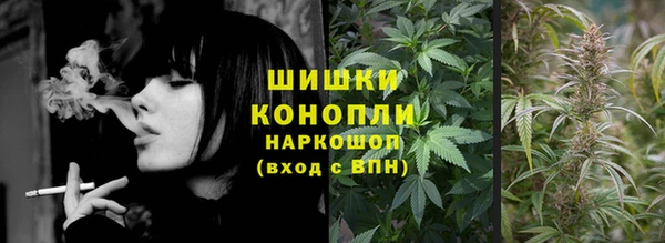ПСИЛОЦИБИНОВЫЕ ГРИБЫ Майский