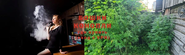 крисы Магас